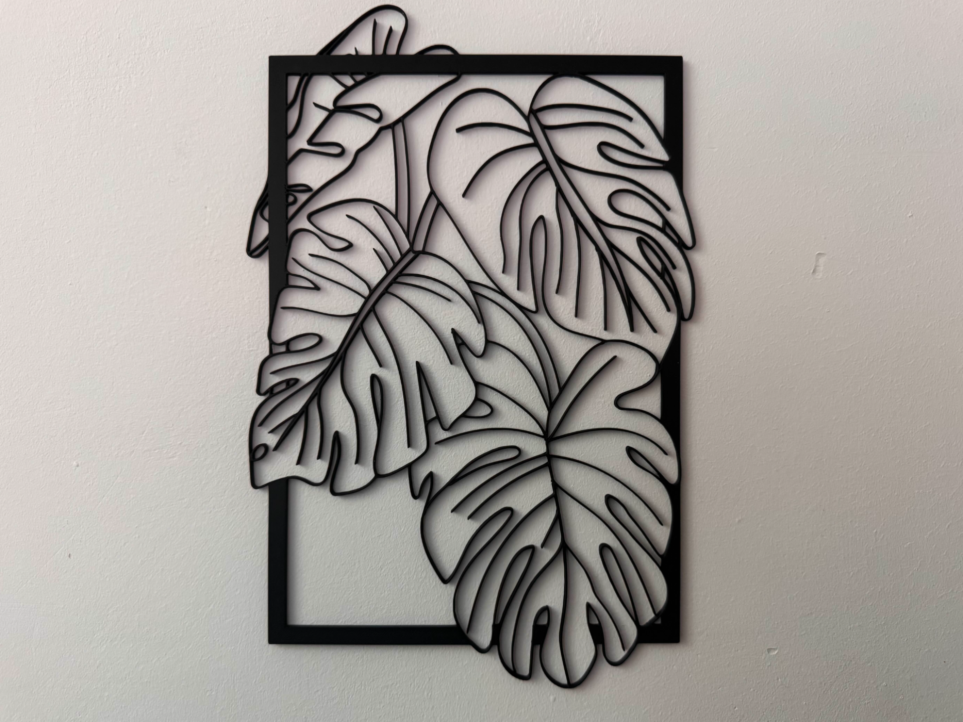 Monstera leafs
