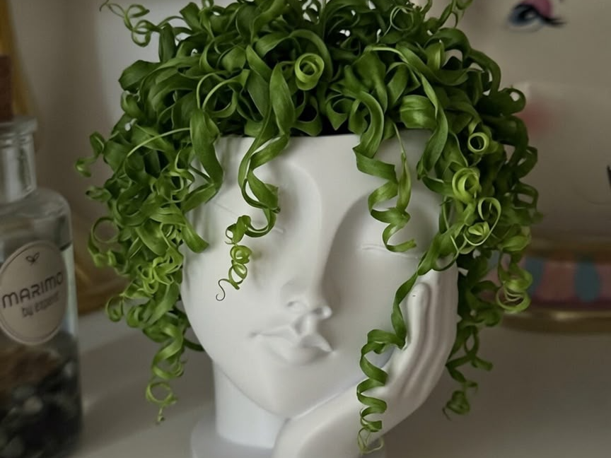 Woman planter