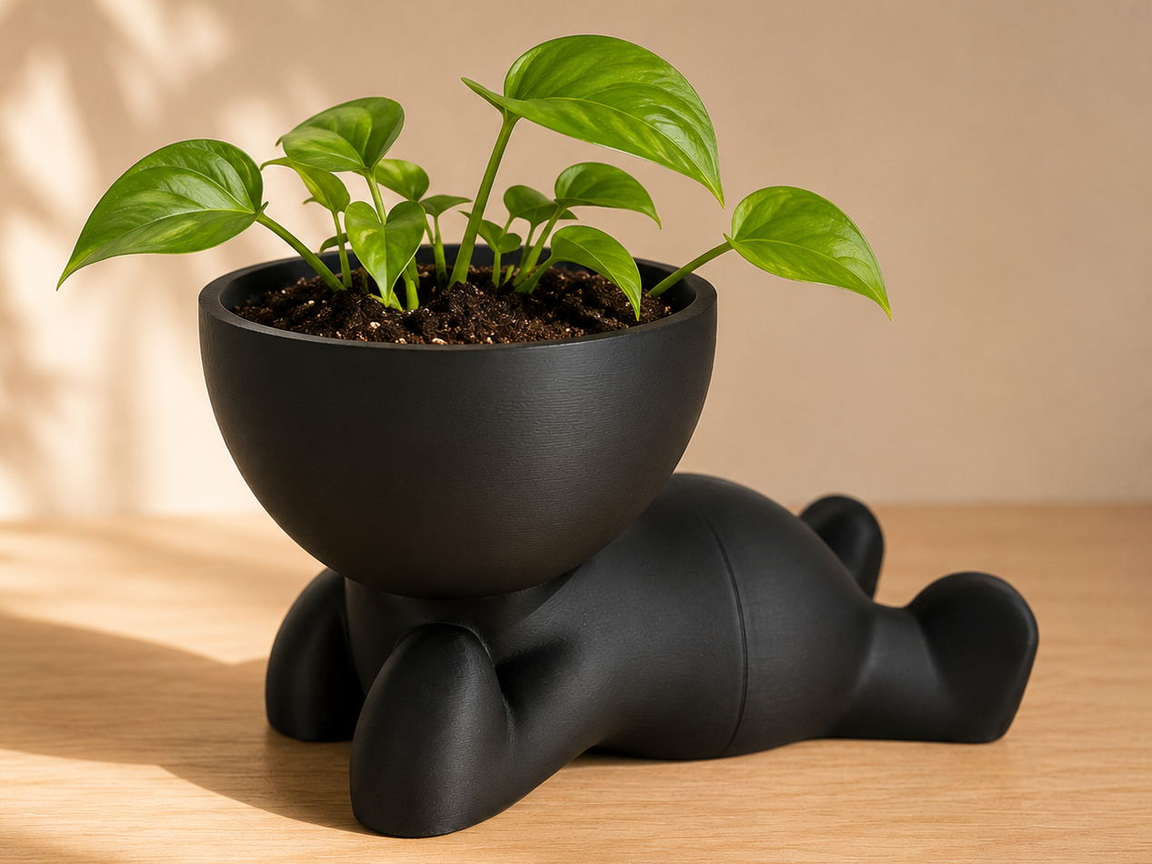 Buddy Planter - Exploring