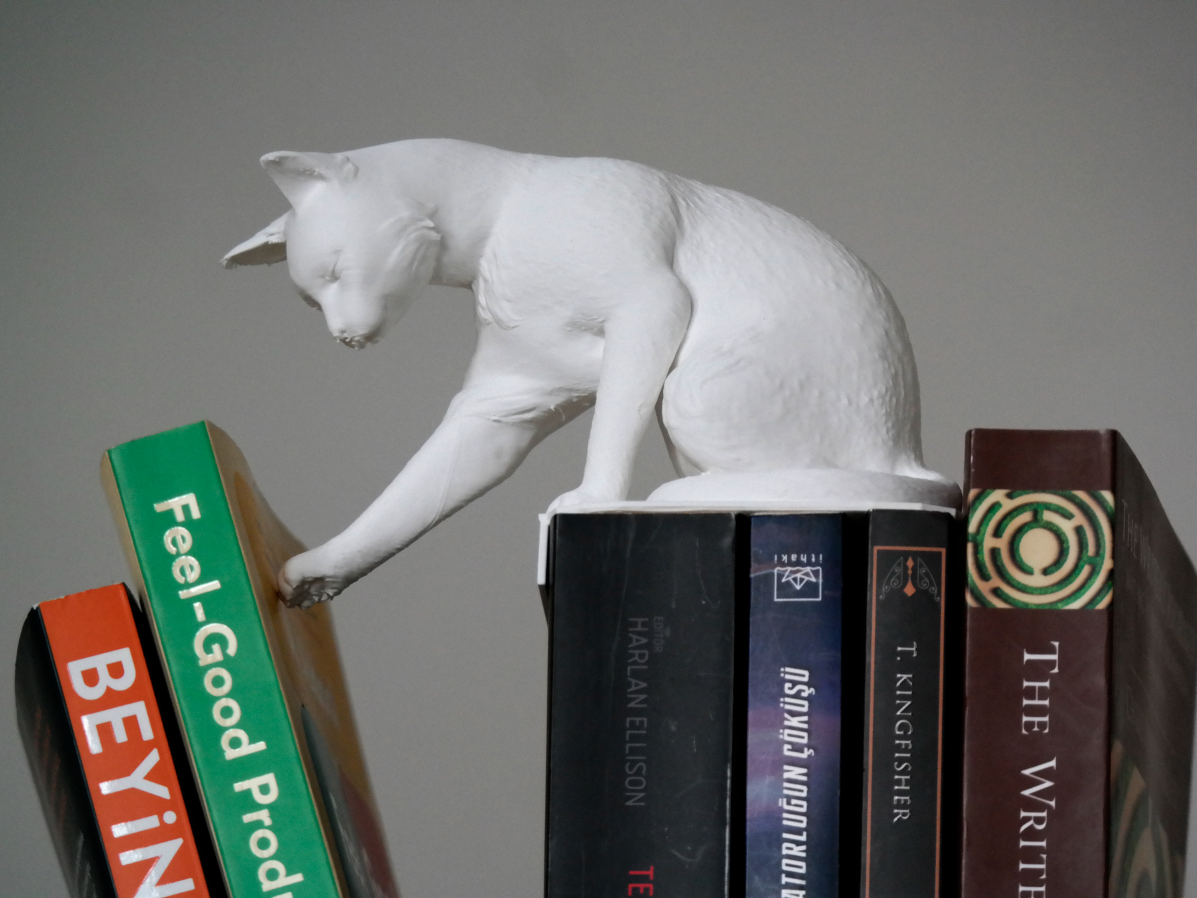 Cat Pushing Book